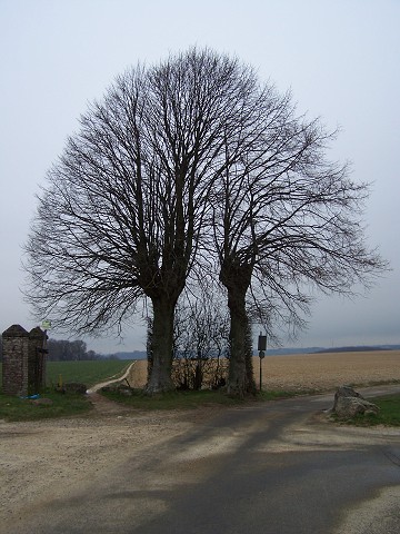 Sonntag, 23. Dezember 2007 09:47:45